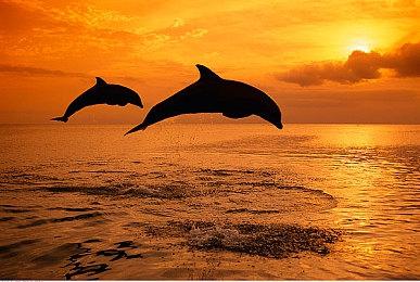 美少女养成游戏《火山的女儿》10月3日开放试玩版 摩点众筹同步上线