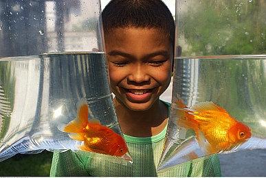 Epic喜加一：《北方之魂》《舰长》免费领取